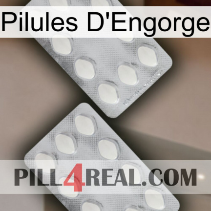 Engorge Pills 17